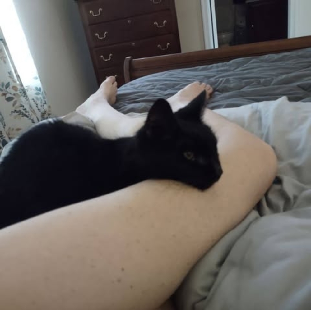 Meet your Posher, Tracy